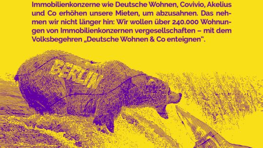 Deutsche Wohnen Enteignen: Kundgebung und Unterschriftensammelaktion Samstag, 27.2.21 @Seeling29